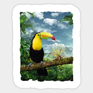 Keel Billed Toucan Jungle View Sticker